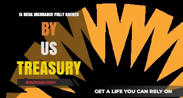 Is NCUA Insurance Fully Backed by the US Treasury?