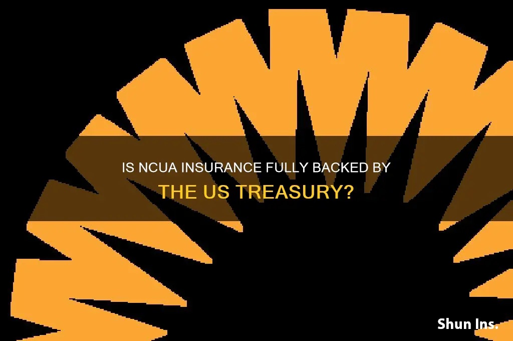 is ncua insurance fully backed by us treasury