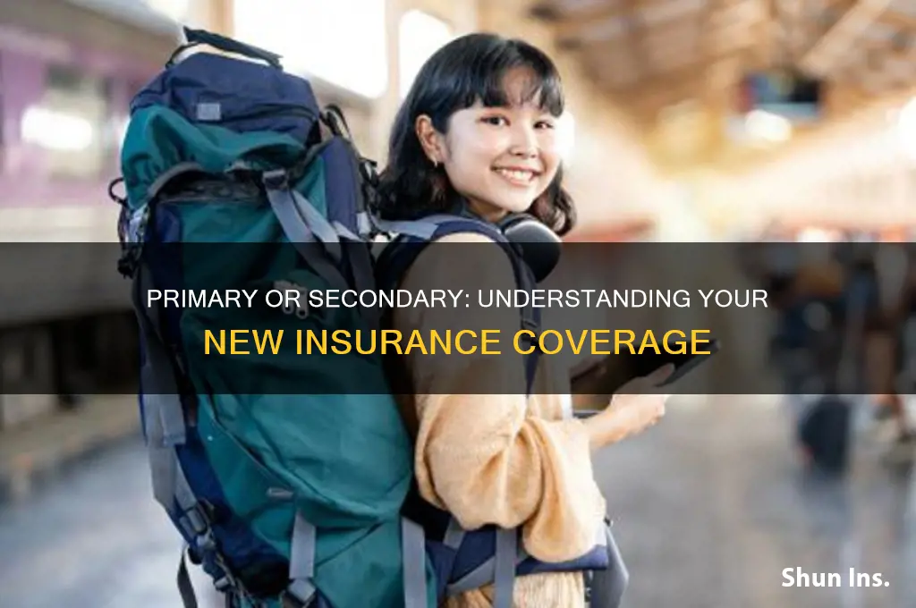 is new insurance primary or secondary