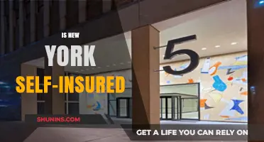 Is New York Self-Insured? Exploring the City's Risk Management Strategy