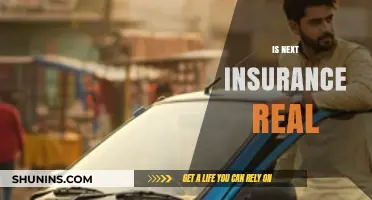 Is Next Insurance Legitimate? Uncovering the Truth Behind the Hype