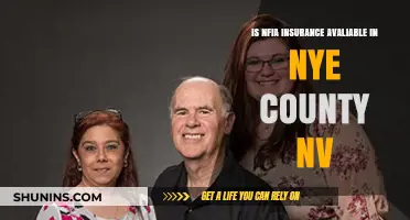 Is NFIA Insurance Available in Nye County, NV? Find Out Here