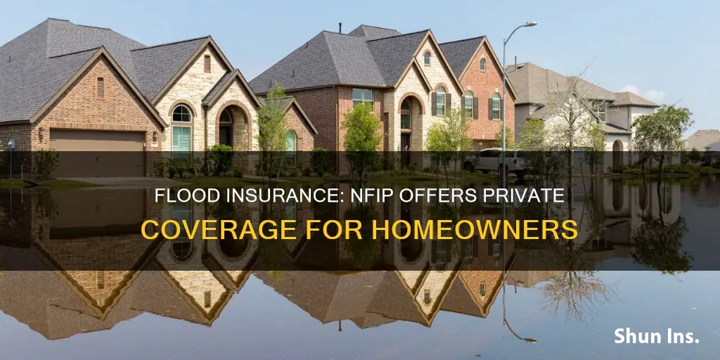 is nfip private flood insurance