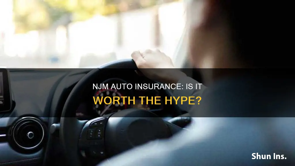 is njm auto insurance good