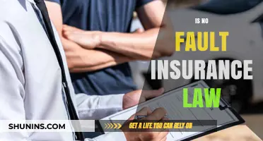 Understanding No-Fault Insurance Law: Benefits, Drawbacks, and State Variations