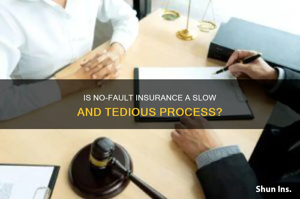 is no fault insurance plod