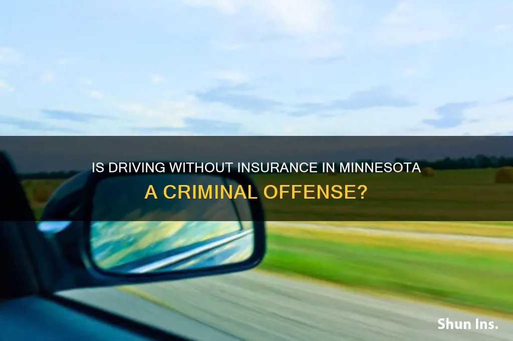 is no insurance in mn a crime