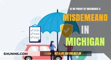 Is Driving Without Insurance in Michigan a Misdemeanor?