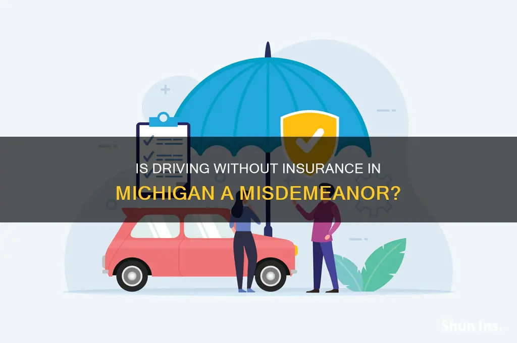 is no proof of insurance a misdemeanor in michigan