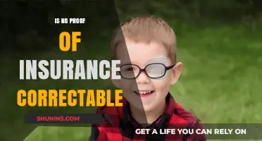 Is No Proof of Insurance Correctable? Understanding Your Options and Consequences