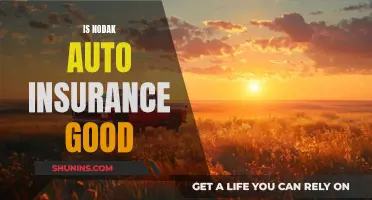 Nodak Auto Insurance: Is It a Good Choice?