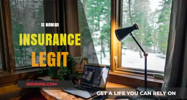 Is Nomad Insurance Legit? A Comprehensive Review and Analysis