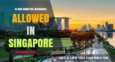 Is Non-Admitted Insurance Legal in Singapore? Key Insights