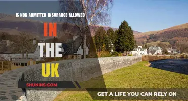 Is Non-Admitted Insurance Legal and Permitted in the UK?