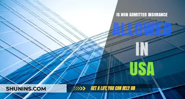 Is Non-Admitted Insurance Legal in the USA? Key Insights