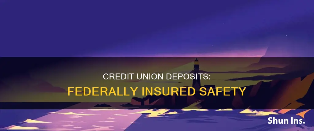 is northeast credit federally insured