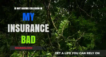 Is Skipping Collision Coverage in Your Insurance a Wise Choice?