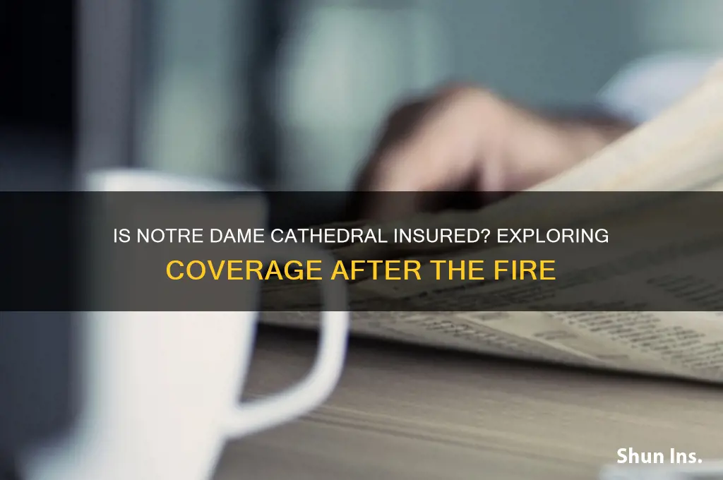 is notre dame cathederal insured