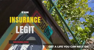 Is Ocho Insurance Legit? A Comprehensive Review and Analysis