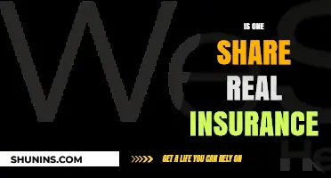 Is One Share Real Insurance? Exploring the Risks and Rewards
