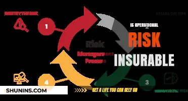 Operational Risk: Insurable or Not?