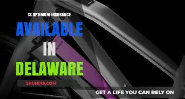 Is Optimum Insurance Available in Delaware? A Comprehensive Guide