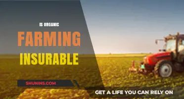 Is Organic Farming Insurable? Exploring Risks, Coverage, and Viability