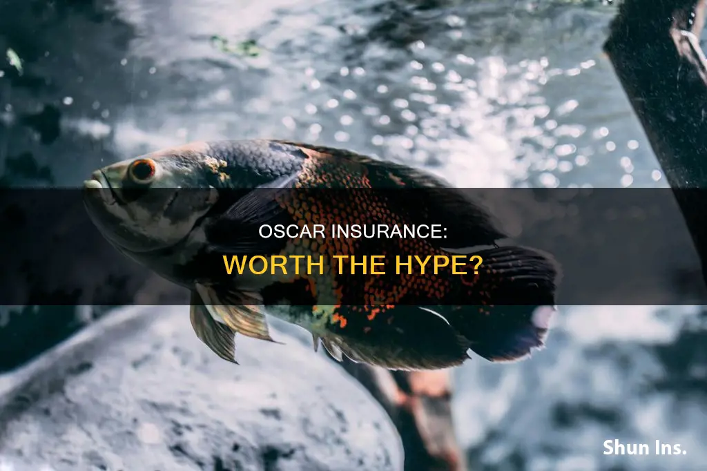 is oscar insurance worth it