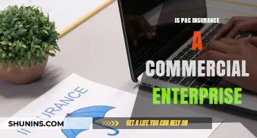 Commercial Enterprise: P&C Insurance Explained