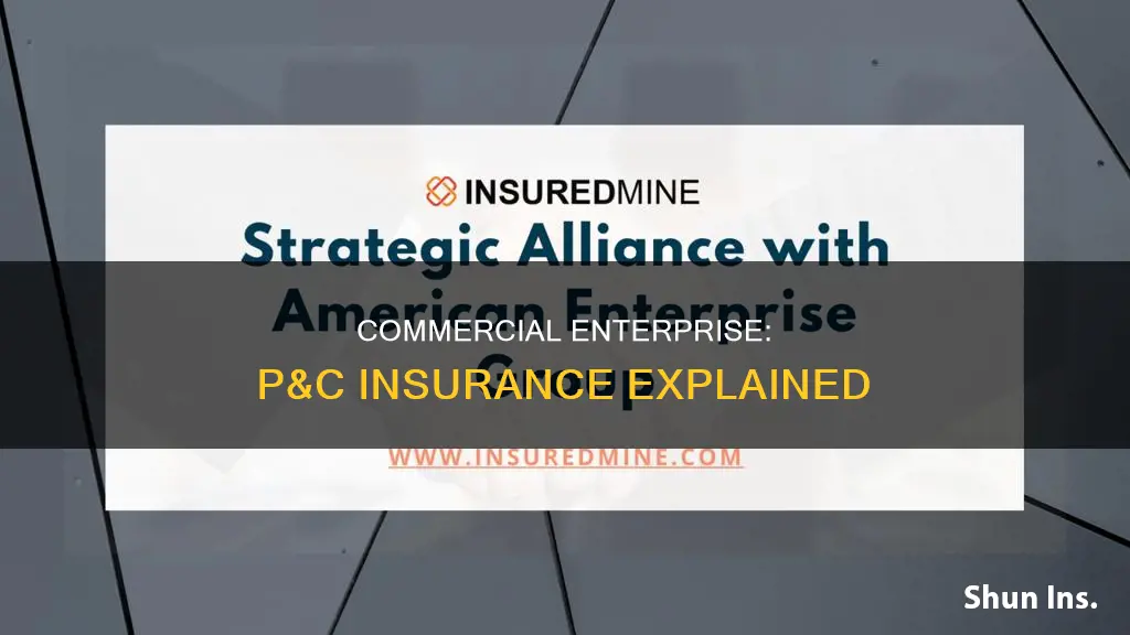 is p&c insurance a commercial enterprise