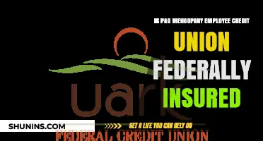 Credit Union Insurance: Is Your Money Safe?