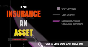 Is Paid Insurance an Asset? Understanding Its Financial Value and Impact