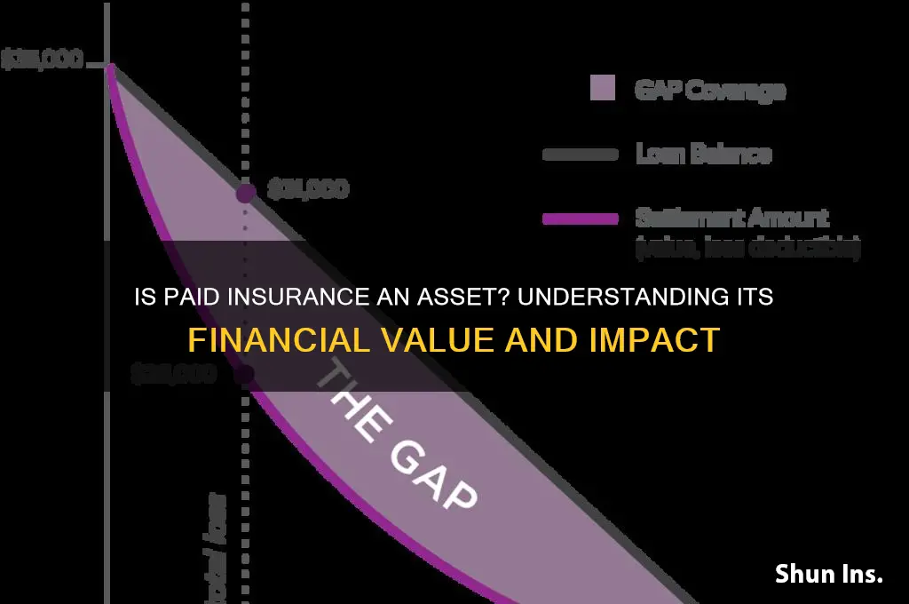 is paid insurance an asset