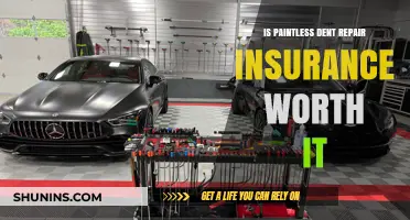 Paintless Dent Repair Insurance: Is It Worth the Cost?