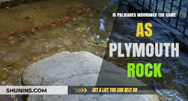 Palisades Insurance vs. Plymouth Rock: Understanding the Key Differences