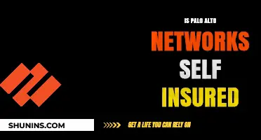 Is Palo Alto Networks Self-Insured? Exploring Their Risk Management Strategy
