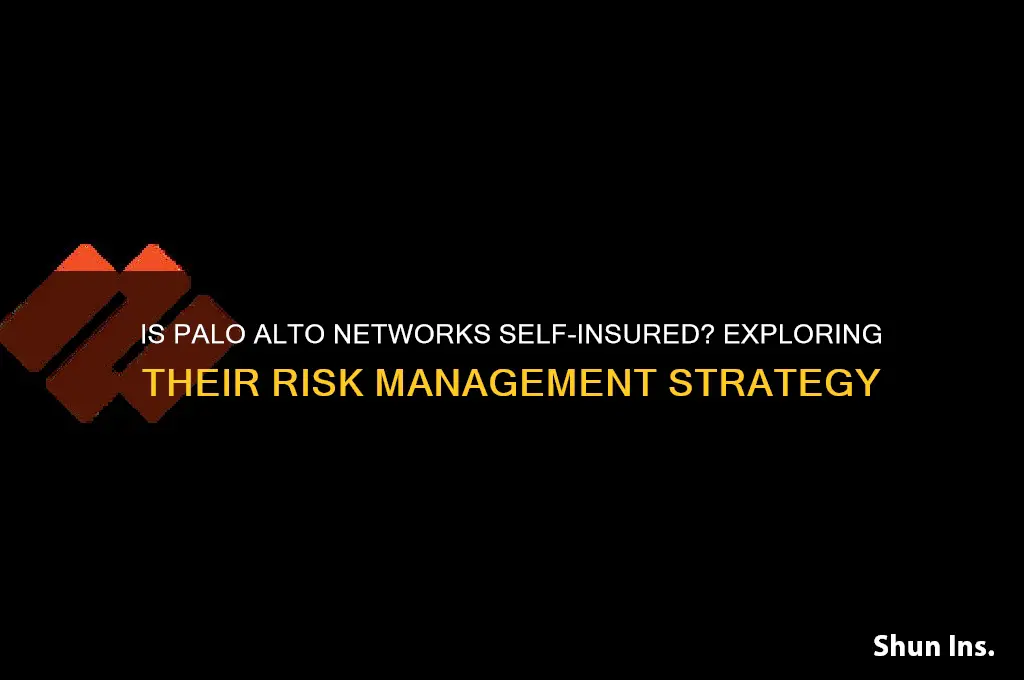 is palo alto networks self insured