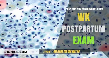 Is PAP Smear Allowed During 6-Week Postpartum Exam? Insurance Insights