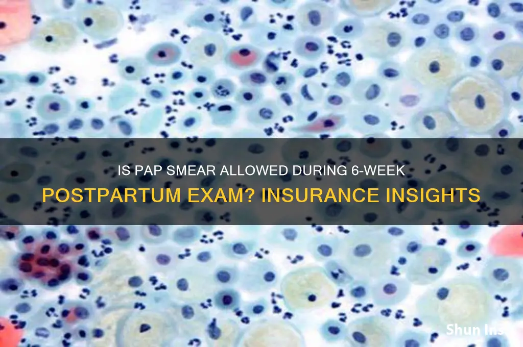 is pap allowed for insurance in 6 wk postpartum exam