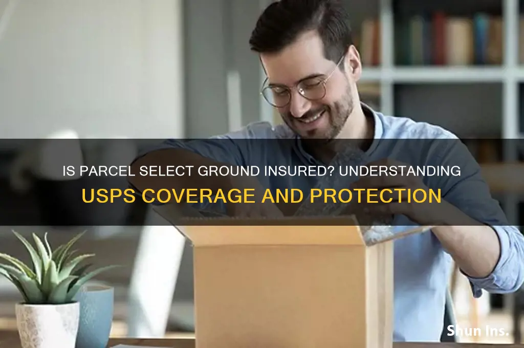 is parcel select ground insured