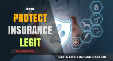 Is Paw Protect Insurance Legit? A Comprehensive Review for Pet Owners