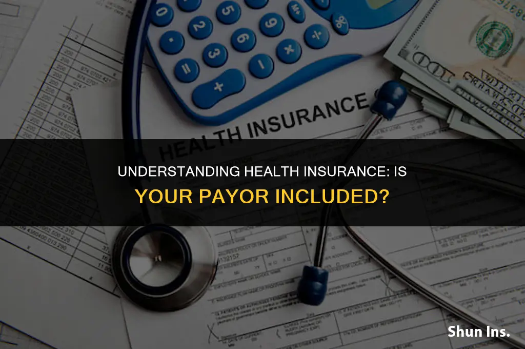 is payor included in health insurance provider