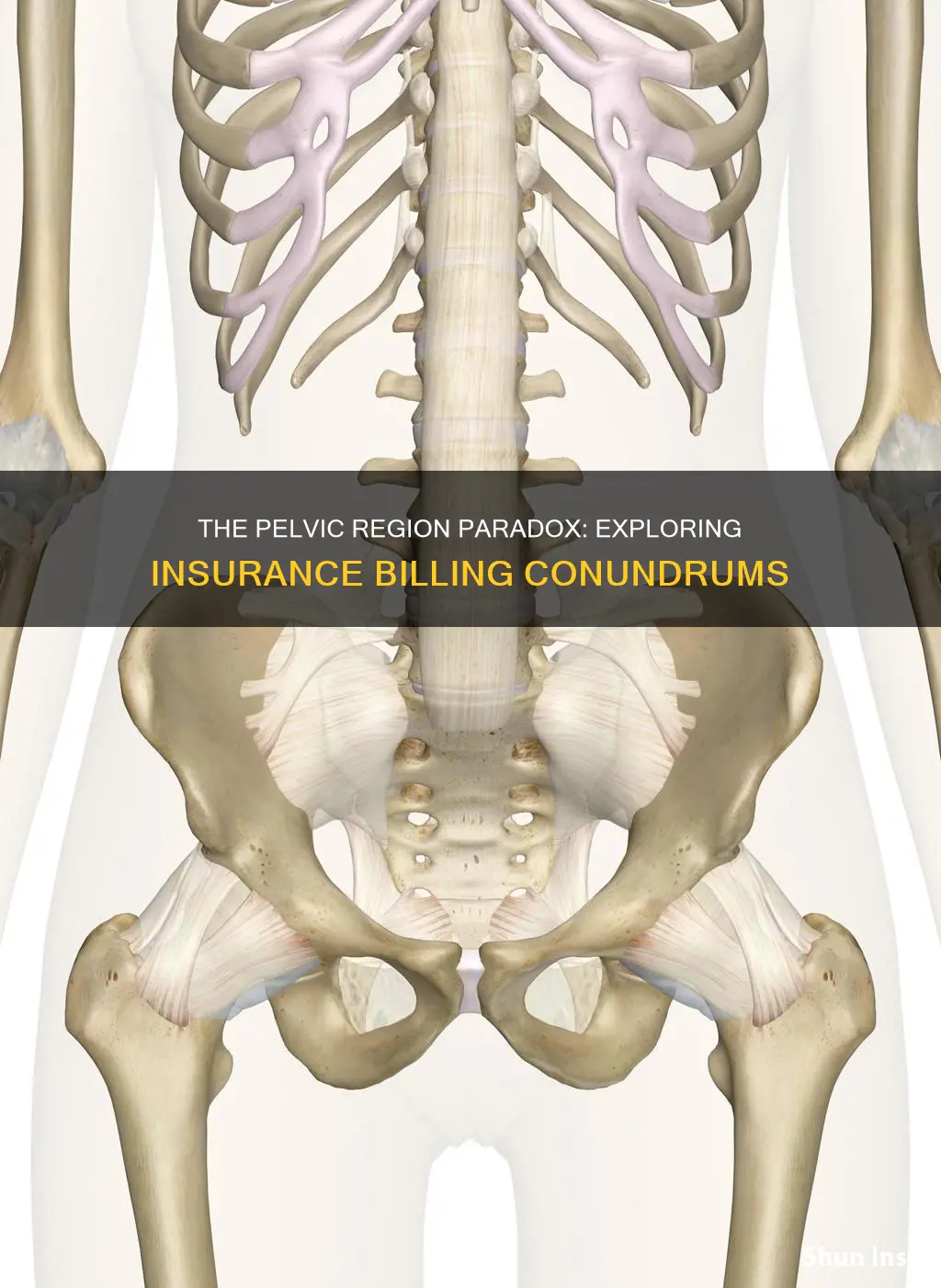 is pelvis an extremity for insurance billing