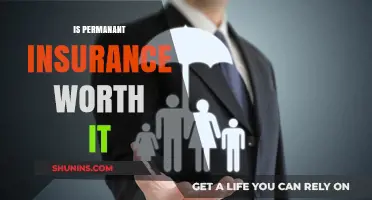 Permanent Insurance: Worth the Long-Term Investment?