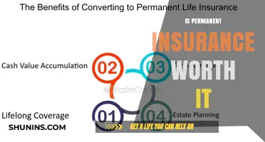 Permanent Insurance: Is It a Worthwhile Investment?