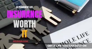 Permanent Life Insurance: Worth the Investment?