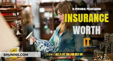 Personal Possessions Insurance: Worth the Cost?
