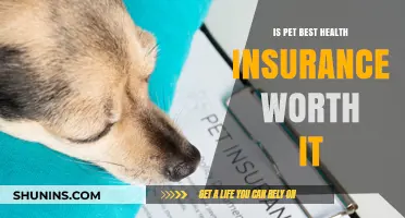 Evaluating Pet Best Health Insurance: Is It Worth the Investment?