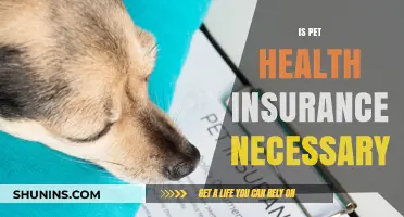 Exploring the Essentials: Is Pet Health Insurance a Must-Have?