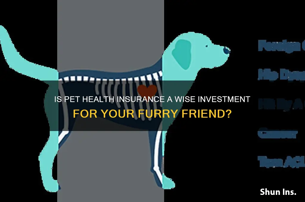 is pet health insurance worth it